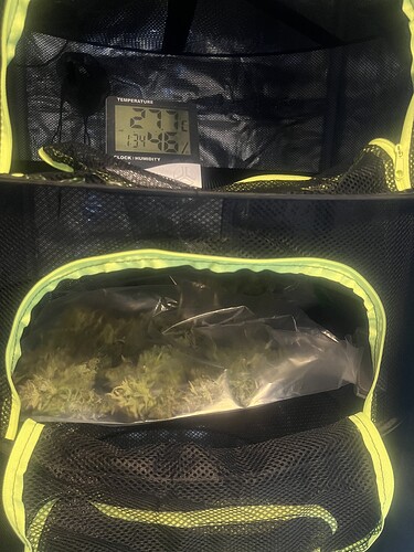 Growreport Bild 3