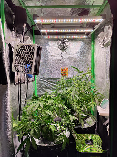 Growreport Bild 11