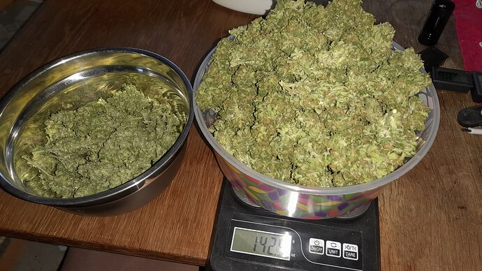 Growreport Bild 9