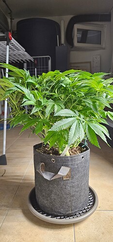 Growreport Bild 14