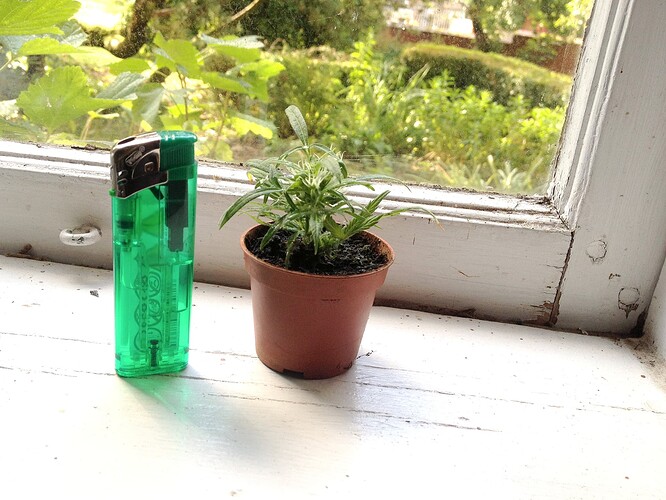 Growreport Bild 6