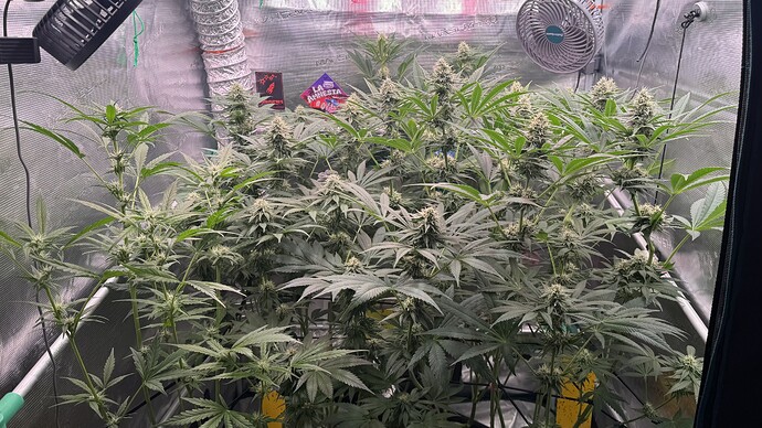 Growreport Bild 19