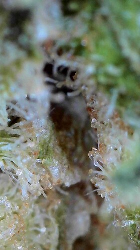 Growreport Bild 46