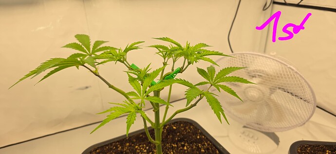 Growreport Bild 20