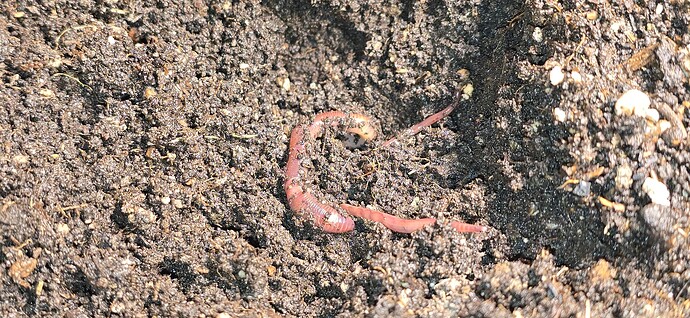 Growreport Bild 7