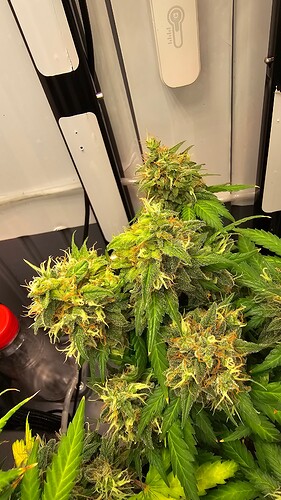 Growreport Bild 1