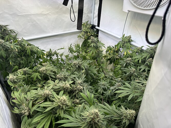 Growreport Bild 2