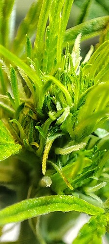 Growreport Bild 6