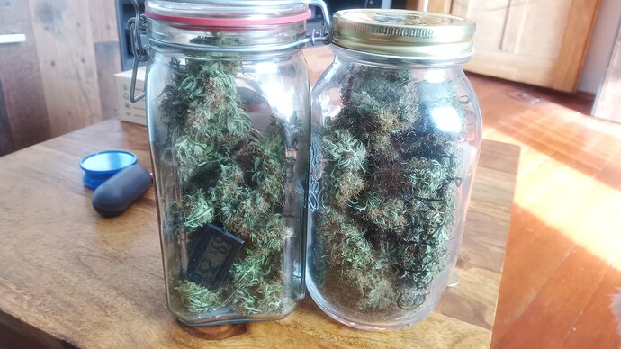 Growreport Bild 29