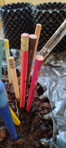 Growreport Bild 22