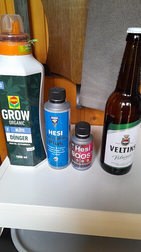 Growreport Bild 1