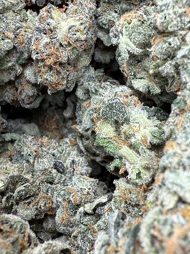 Growreport Bild 25