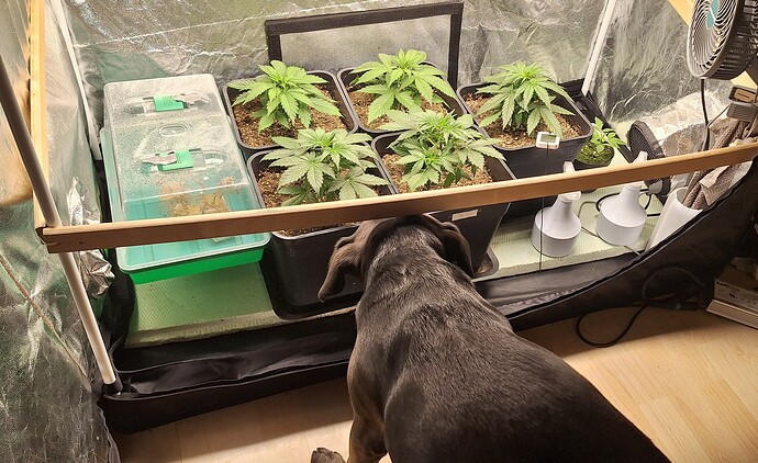 Growreport Bild 8