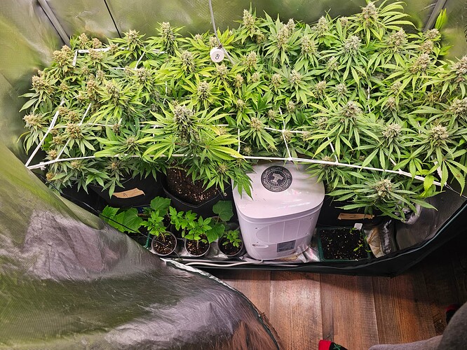 Growreport Bild 5