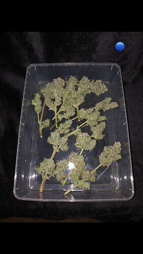 Growreport Bild 25