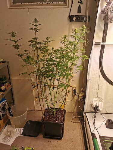 Growreport Bild 9