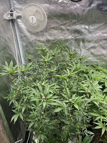 Growreport Bild 5