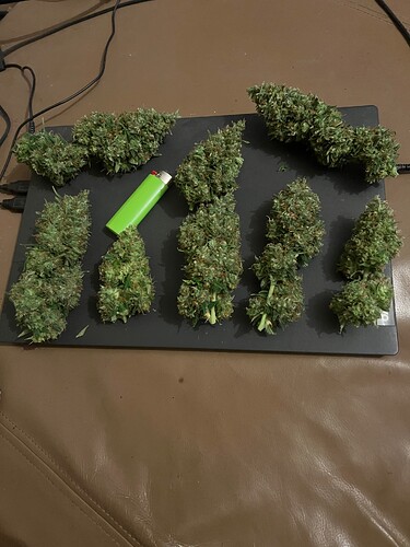 Growreport Bild 2
