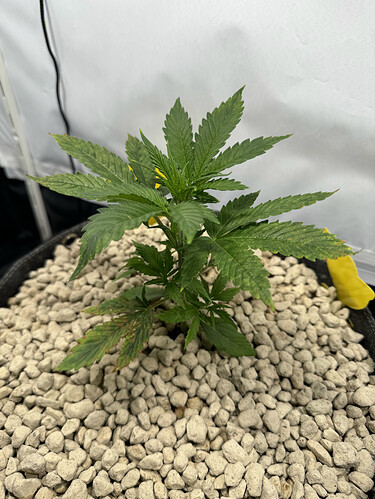 20240427_150511735_iOS