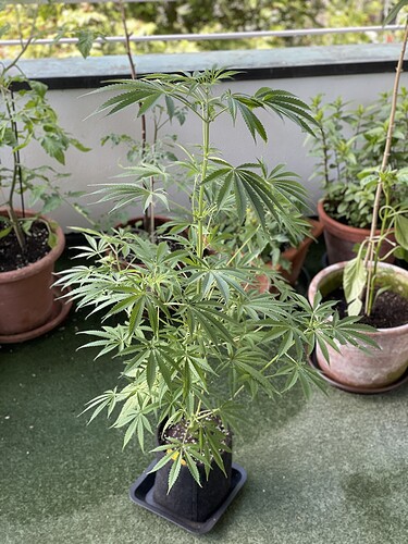 Growreport Bild 30