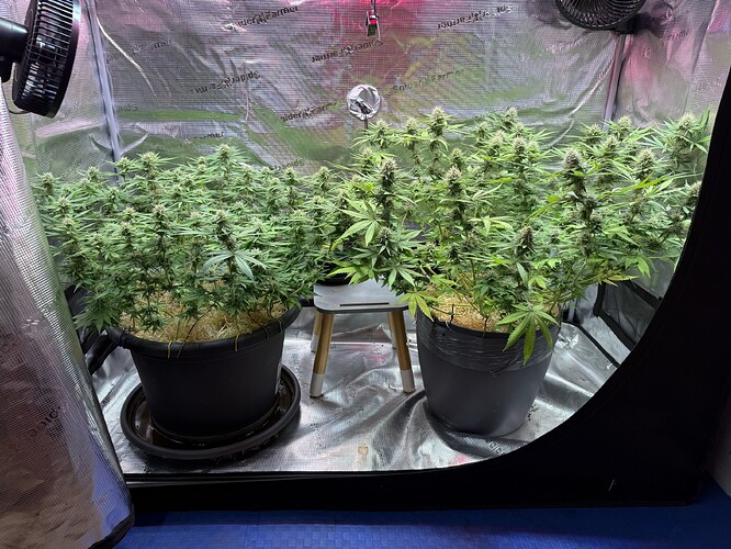Growreport Bild 22