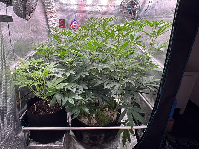 Growreport Bild 26