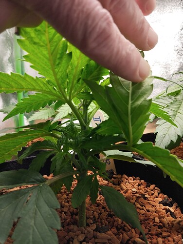 Growreport Bild 11