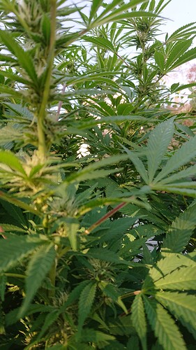 Growreport Bild 21