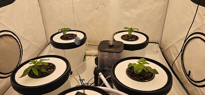 Growreport Bild 3