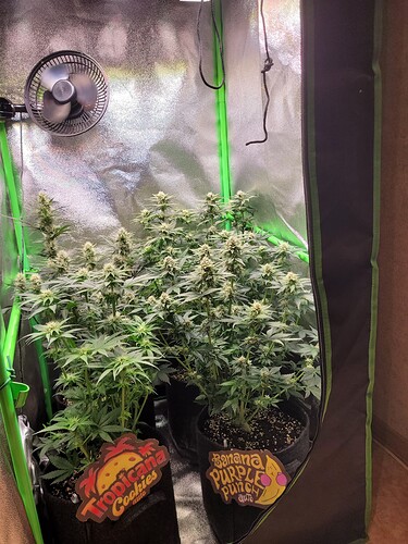 Growreport Bild 20