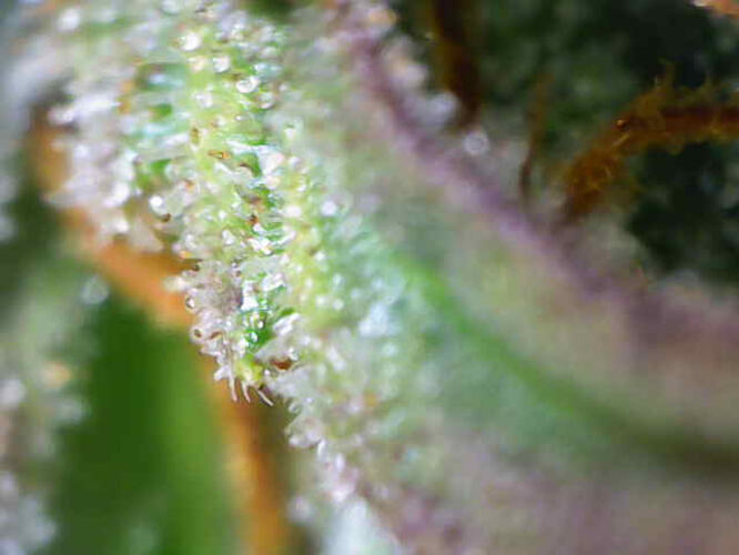 Photo_2026-03-04 16_36_23_979