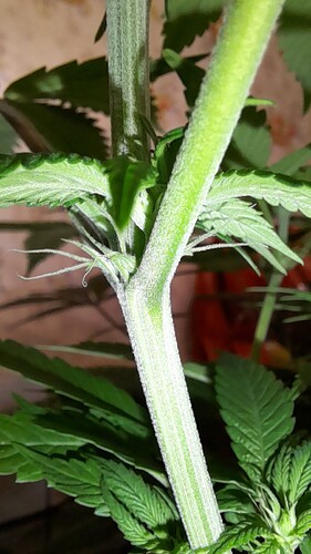 Growreport Bild 10