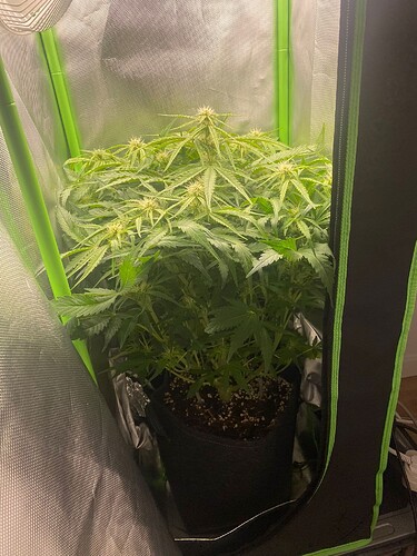 WhatsApp Bild 2024-05-06 um 19.12.42_94f1aad4