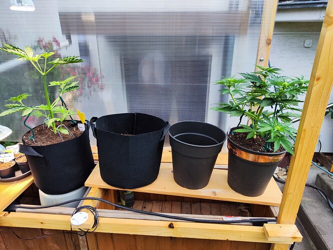 Growreport Bild 4