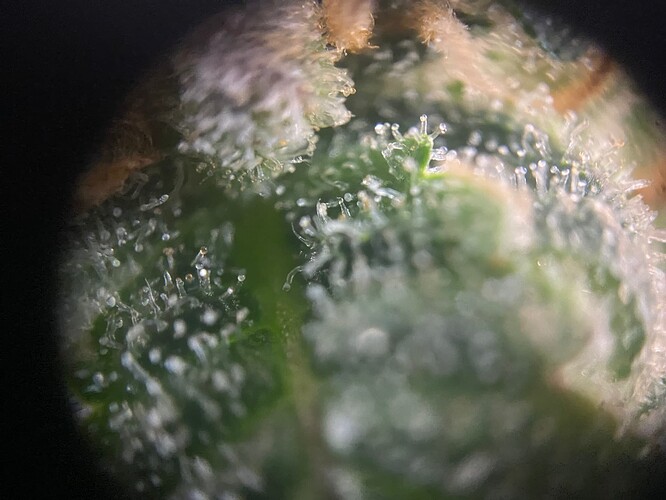 Growreport Bild 8