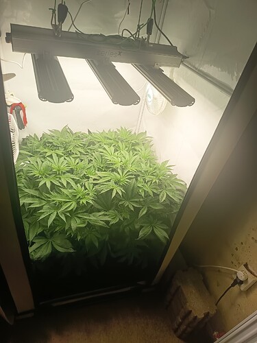Growreport Bild 13