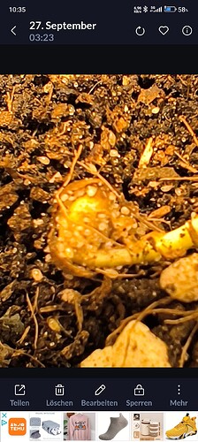 Screenshot_2024-09-30-10-35-56-805_gallery.hidepictures.photovault.lockgallery