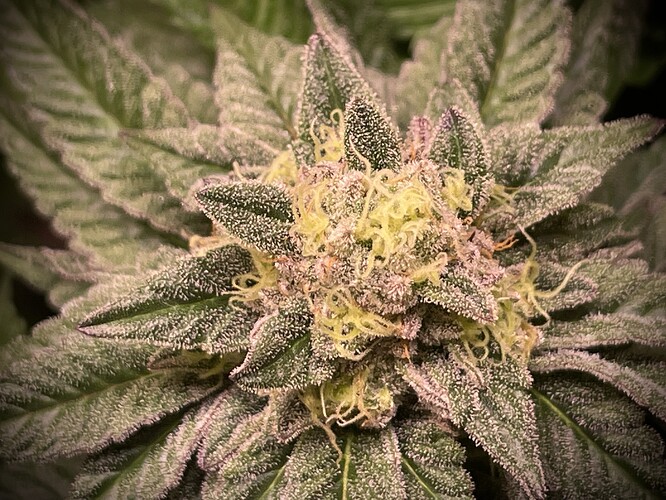Growreport Bild 9