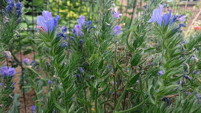 Growreport Bild 96