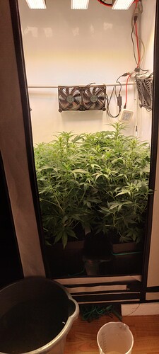 Growreport Bild 8