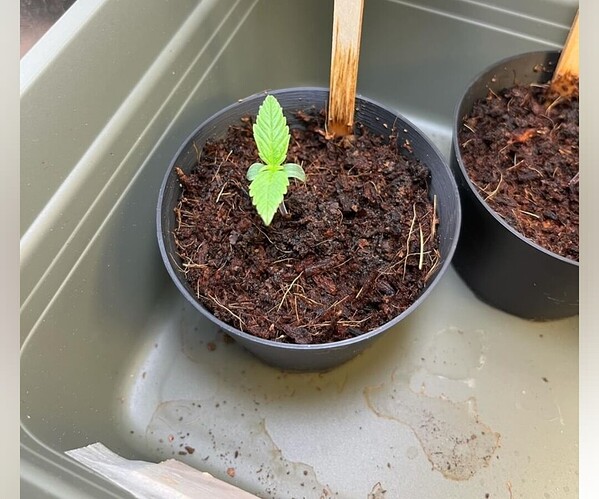 Screenshot_20240504_204744