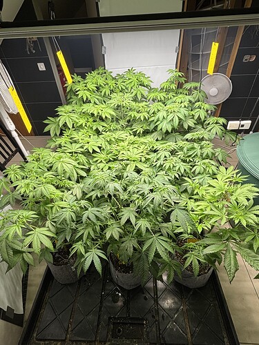 Growreport Bild 24