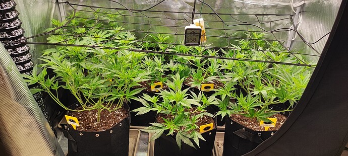 Growreport Bild 15