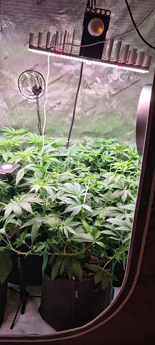 Growreport Bild 4