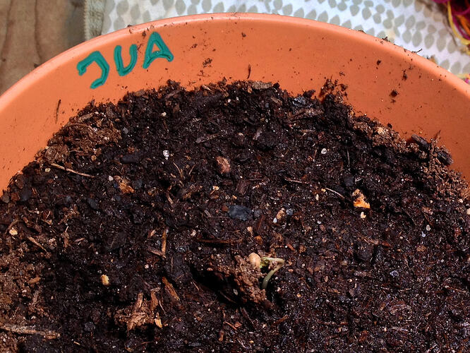 Grow26_0516_2