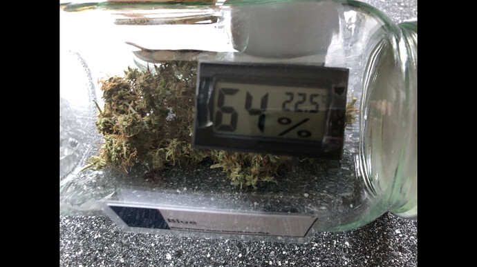 Growreport Bild 6