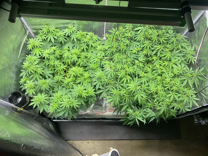 Growreport Bild 18