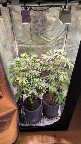 Growreport Bild 13