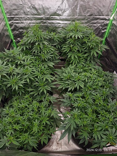 Growreport Bild 13