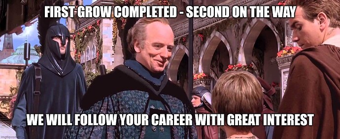 palpatine-meme